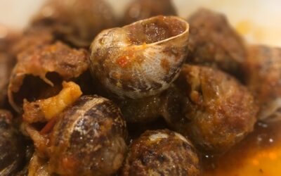 Tapa_caracoles
